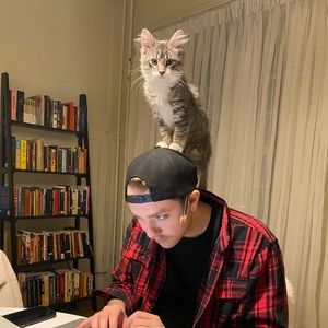 Meet your Posher, Harrison